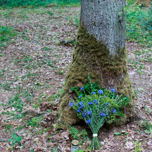 Trauer-Blumenstrauß Blumenbukett für Beerdigung mit Kornblumen im Bestattungswald Nidderau-Eichen