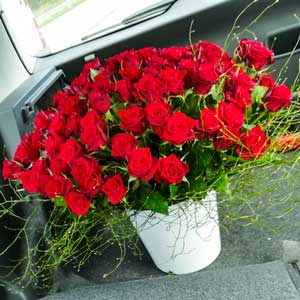 100 rote Rosen schön arrangiert Nidderau Niddatal Karben Maintal Bruchköbel Hanau